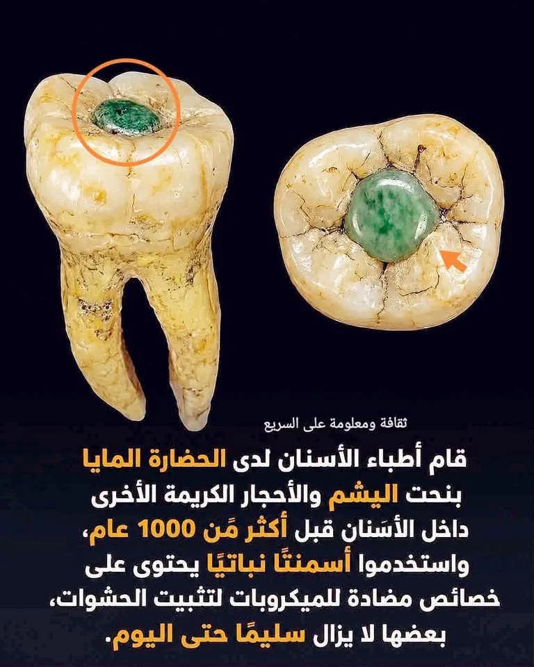 FB_IMG_1786509618338