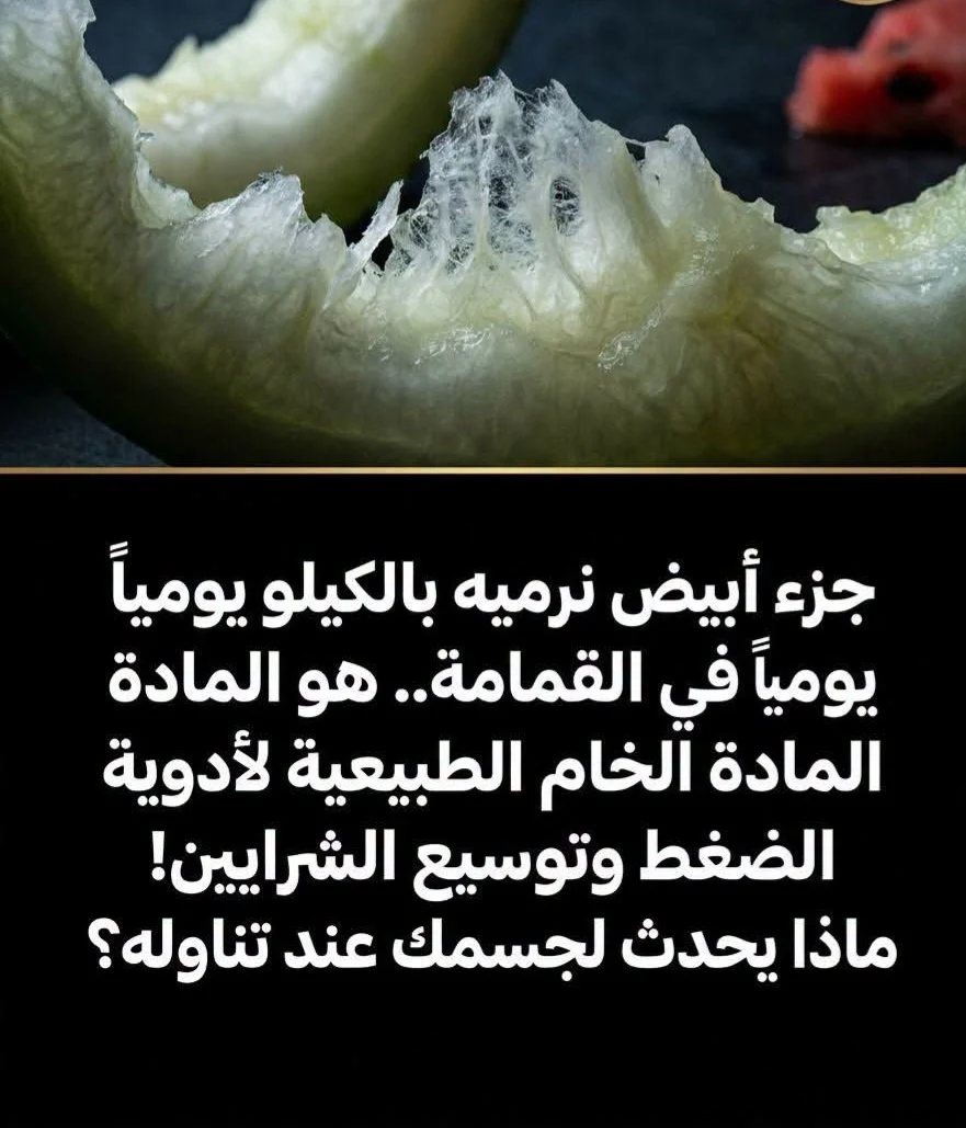 FB_IMG_1787286685044.webp